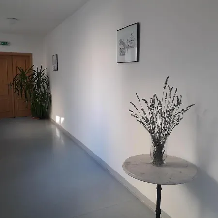 Πανσιόν Penzion Hotelu Central Dvůr Králové nad Labem