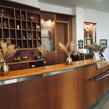Penzion Hotelu Central Двур-Кралове-над-Лабем