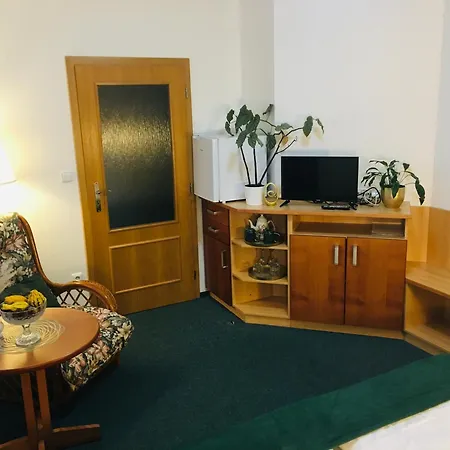 中心旅馆 Dvůr Králové nad Labem