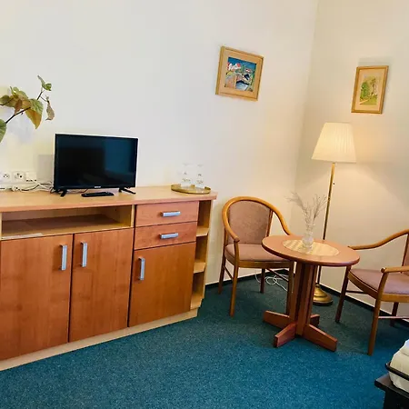 Penzion Hotelu Central Πανσιόν Dvůr Králové nad Labem