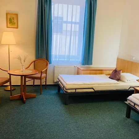 中心旅馆 4* Dvůr Králové nad Labem