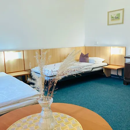 Πανσιόν Penzion Hotelu Central 4*