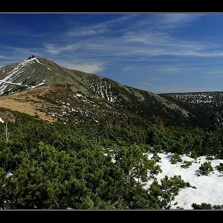 Penzion Hotelu Central Πανσιόν 4*