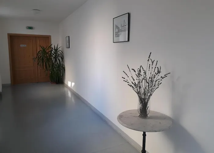 招待所 中心旅馆 Dvůr Králové nad Labem