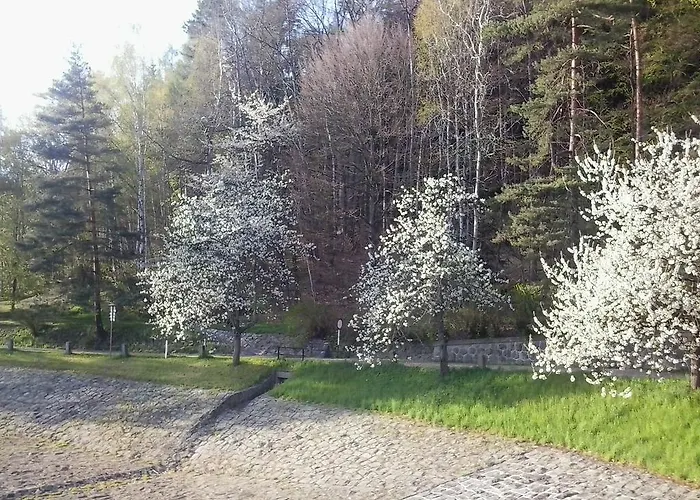 Penzion Hotelu Central 4* Dvůr Králové nad Labem