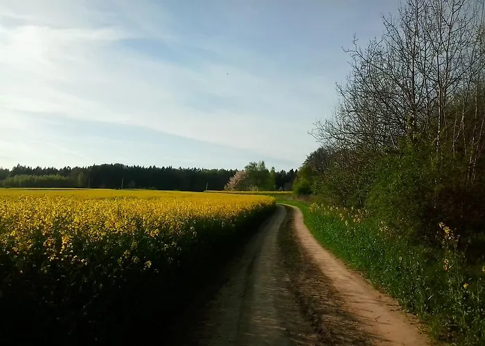 中心旅馆 4* Dvůr Králové nad Labem